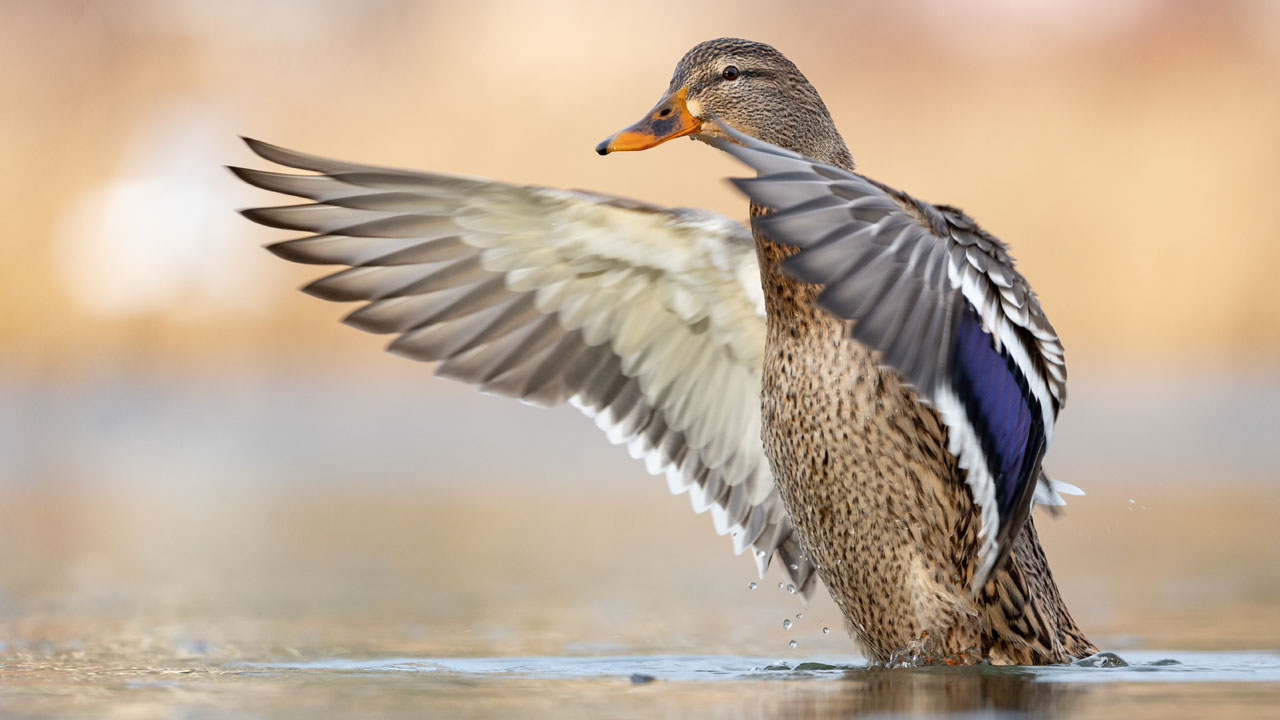 Naturfotografie